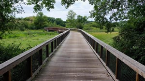 Landscape Architecture