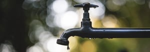 PFAS101-header