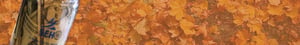 1920x290_Food_campaign