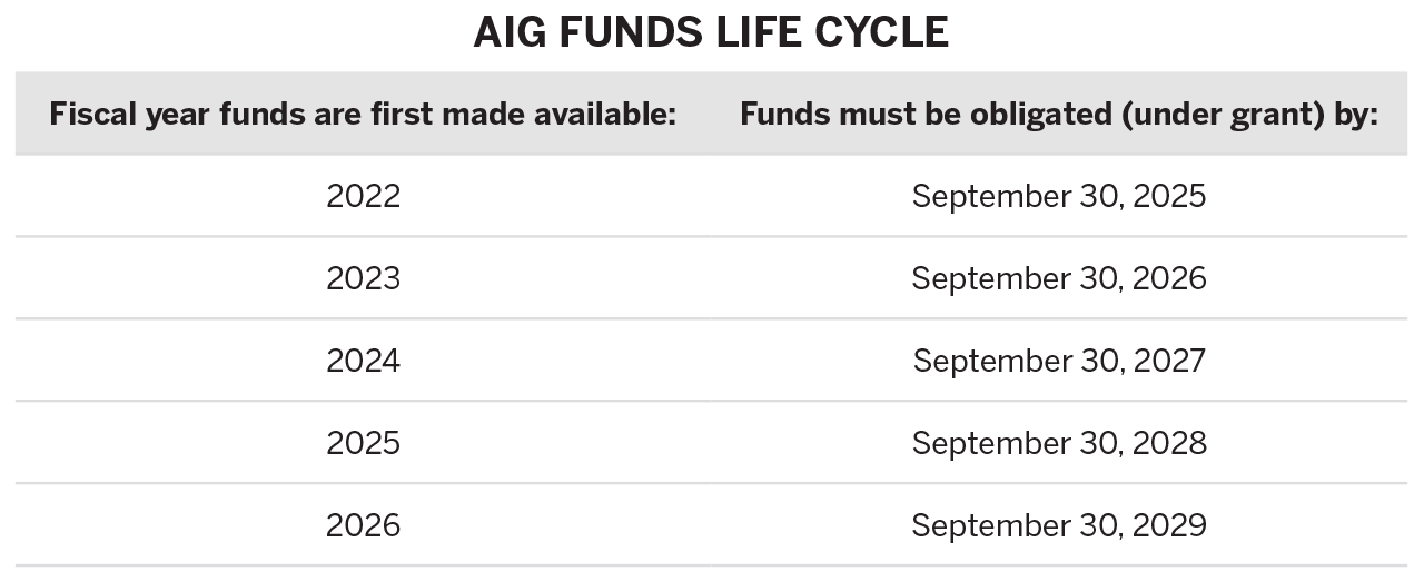 AIG Funds Life Cycle table