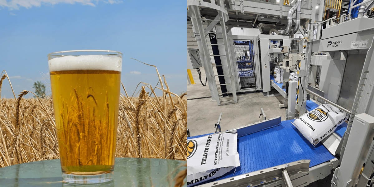 Photos of beer in barley field and being malted and packaged