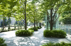 UrbanTrees_Header