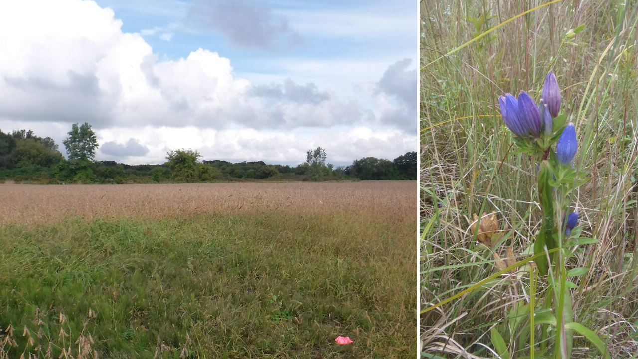 Prairie Photos