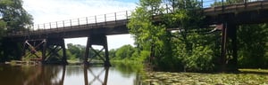 Bridge over river lined with trees