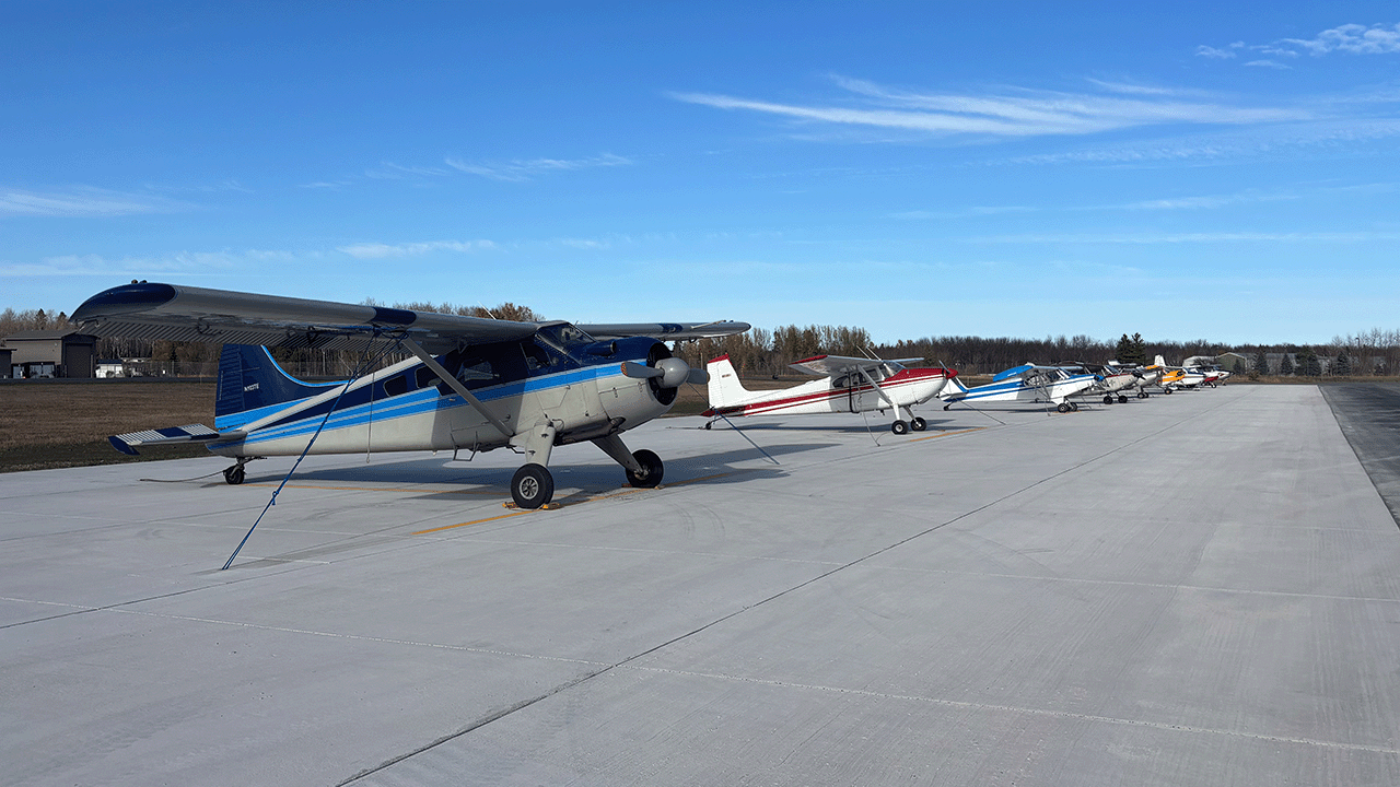 A row of small aircraft parked on a concrete apron under a clear blue sky.