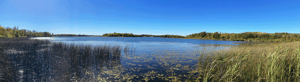 Panoramic view of a lake bordered by reeds and shoreline vegetation.