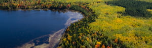 St. Louis County Wetland Regulatory Planning and Permitting