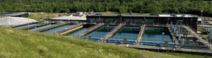 Banner image of the Robert A. Harris Water Treatment Plant with pools, walkways, and surrounding greenery.