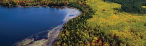 Superiora Wetland Bank Delineation