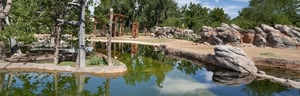 Zoo enclosure with rocks and pond