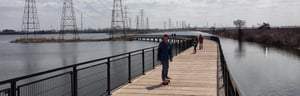 Wolf Lake Boardwalk