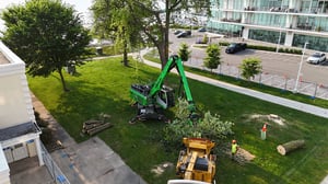 DJI_20240730075358_0012_D