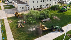 DJI_20240730082544_0018_D