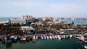 Florida Banner