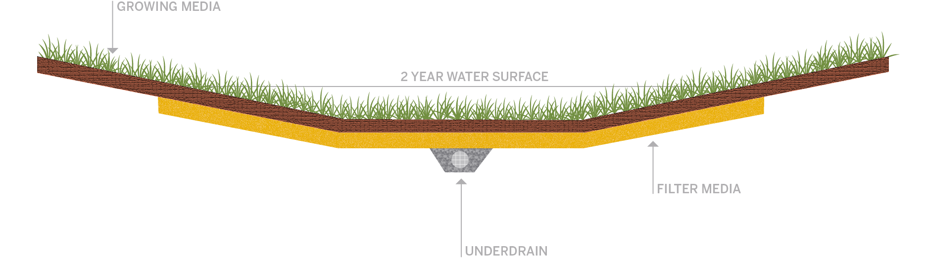 bioswale cross section