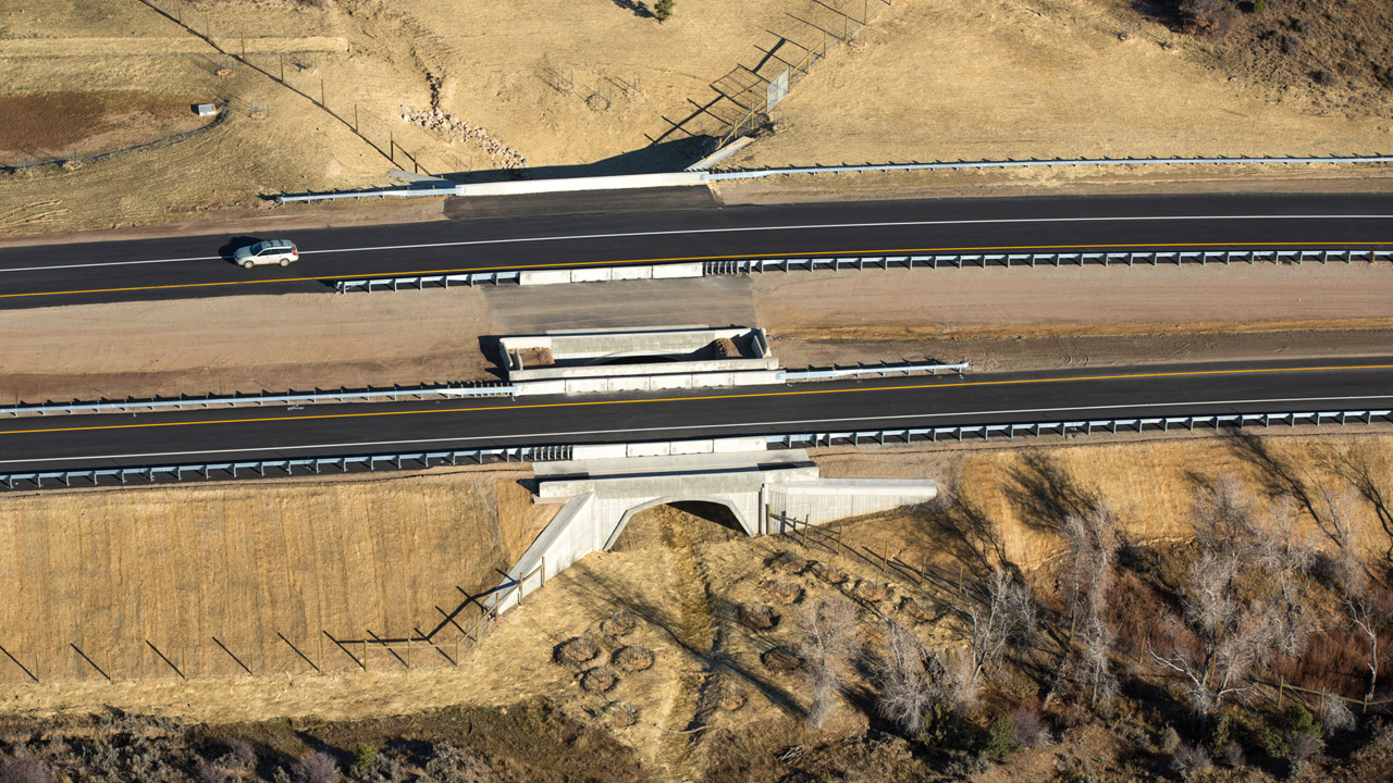 wildlife crossing