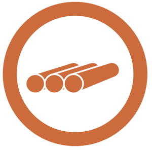 bullet icon